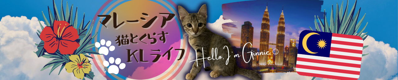 渡航準備 日本から海外移住の引越し準備 おすすめ断捨離法３選 マレーシア 猫と暮らすklライフ